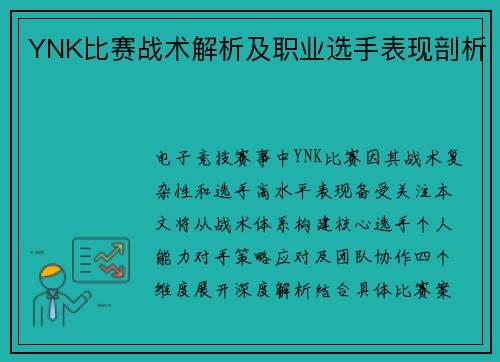 YNK比赛战术解析及职业选手表现剖析